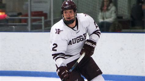 augsburg hockey|augsburg hockey roster.